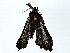 ( - BIOUG91405-G08)  @11 [ ] CreativeCommons - Attribution (2022) CBG Photography Group Centre for Biodiversity Genomics