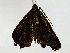  ( - BIOUG91405-H02)  @11 [ ] CreativeCommons - Attribution (2022) CBG Photography Group Centre for Biodiversity Genomics