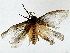  ( - BIOUG91405-H11)  @11 [ ] CreativeCommons - Attribution (2022) CBG Photography Group Centre for Biodiversity Genomics