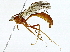  ( - BIOUG91406-C03)  @11 [ ] CreativeCommons - Attribution (2022) CBG Photography Group Centre for Biodiversity Genomics
