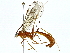  ( - BIOUG91406-C05)  @11 [ ] CreativeCommons - Attribution (2022) CBG Photography Group Centre for Biodiversity Genomics