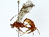  ( - BIOUG91406-C11)  @11 [ ] CreativeCommons - Attribution (2022) CBG Photography Group Centre for Biodiversity Genomics