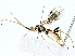  ( - BIOUG91406-D09)  @11 [ ] CreativeCommons - Attribution (2022) CBG Photography Group Centre for Biodiversity Genomics