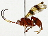  ( - BIOUG91406-E01)  @11 [ ] CreativeCommons - Attribution (2022) CBG Photography Group Centre for Biodiversity Genomics