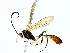  ( - BIOUG91406-E04)  @11 [ ] CreativeCommons - Attribution (2022) CBG Photography Group Centre for Biodiversity Genomics