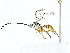  ( - BIOUG91406-F07)  @11 [ ] CreativeCommons - Attribution (2022) CBG Photography Group Centre for Biodiversity Genomics
