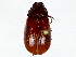  ( - BIOUG91406-H06)  @11 [ ] CreativeCommons - Attribution (2022) CBG Photography Group Centre for Biodiversity Genomics