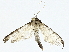  ( - BIOUG91407-A03)  @13 [ ] CreativeCommons - Attribution (2022) CBG Photography Group Centre for Biodiversity Genomics