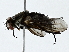  ( - BIOUG91407-E08)  @11 [ ] CreativeCommons - Attribution (2022) CBG Photography Group Centre for Biodiversity Genomics