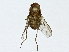  ( - BIOUG91407-E09)  @11 [ ] CreativeCommons - Attribution (2022) CBG Photography Group Centre for Biodiversity Genomics