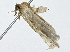  ( - BIOUG91408-E10)  @11 [ ] CreativeCommons - Attribution (2022) CBG Photography Group Centre for Biodiversity Genomics