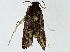  ( - BIOUG91408-E12)  @11 [ ] CreativeCommons - Attribution (2022) CBG Photography Group Centre for Biodiversity Genomics