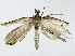 ( - BIOUG91408-G11)  @11 [ ] CreativeCommons - Attribution (2022) CBG Photography Group Centre for Biodiversity Genomics