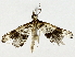  ( - BIOUG91408-H04)  @11 [ ] CreativeCommons - Attribution (2022) CBG Photography Group Centre for Biodiversity Genomics