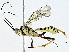  ( - BIOUG91424-E05)  @11 [ ] CreativeCommons - Attribution (2022) CBG Photography Group Centre for Biodiversity Genomics
