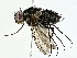  ( - BIOUG95277-E01)  @11 [ ] CreativeCommons - Attribution (2022) CBG Photography Group Centre for Biodiversity Genomics