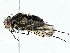  ( - BIOUG95277-E03)  @11 [ ] CreativeCommons - Attribution (2022) CBG Photography Group Centre for Biodiversity Genomics