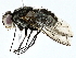  ( - BIOUG95277-E04)  @11 [ ] CreativeCommons - Attribution (2022) CBG Photography Group Centre for Biodiversity Genomics