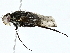  ( - BIOUG95277-E05)  @11 [ ] CreativeCommons - Attribution (2022) CBG Photography Group Centre for Biodiversity Genomics