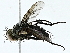  ( - BIOUG95277-E12)  @11 [ ] CreativeCommons - Attribution (2022) CBG Photography Group Centre for Biodiversity Genomics