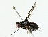  ( - BIOUG95277-F01)  @11 [ ] CreativeCommons - Attribution (2022) CBG Photography Group Centre for Biodiversity Genomics
