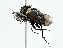  ( - BIOUG95277-G01)  @11 [ ] CreativeCommons - Attribution (2022) CBG Photography Group Centre for Biodiversity Genomics