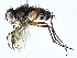  ( - BIOUG95277-G08)  @11 [ ] CreativeCommons - Attribution (2022) CBG Photography Group Centre for Biodiversity Genomics