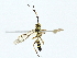  ( - BIOUG95278-C11)  @11 [ ] CreativeCommons - Attribution (2022) CBG Photography Group Centre for Biodiversity Genomics