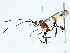  ( - BIOUG95278-D11)  @11 [ ] CreativeCommons - Attribution (2022) CBG Photography Group Centre for Biodiversity Genomics