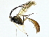  ( - BIOUG95278-E05)  @11 [ ] CreativeCommons - Attribution (2022) CBG Photography Group Centre for Biodiversity Genomics