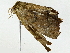  ( - BIOUG95278-G02)  @11 [ ] CreativeCommons - Attribution (2022) CBG Photography Group Centre for Biodiversity Genomics