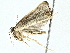 ( - BIOUG95278-H08)  @11 [ ] CreativeCommons - Attribution (2022) CBG Photography Group Centre for Biodiversity Genomics