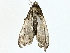  ( - BIOUG95279-B04)  @11 [ ] CreativeCommons - Attribution (2022) CBG Photography Group Centre for Biodiversity Genomics