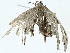  ( - BIOUG95279-B09)  @11 [ ] CreativeCommons - Attribution (2022) CBG Photography Group Centre for Biodiversity Genomics