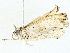  ( - BIOUG95279-C05)  @11 [ ] CreativeCommons - Attribution (2022) CBG Photography Group Centre for Biodiversity Genomics