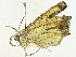  ( - BIOUG95279-E01)  @11 [ ] CreativeCommons - Attribution (2022) CBG Photography Group Centre for Biodiversity Genomics