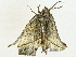  ( - BIOUG95279-E02)  @11 [ ] CreativeCommons - Attribution (2022) CBG Photography Group Centre for Biodiversity Genomics