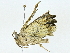 ( - BIOUG95279-E08)  @11 [ ] CreativeCommons - Attribution (2022) CBG Photography Group Centre for Biodiversity Genomics