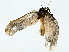  ( - BIOUG95279-G08)  @11 [ ] CreativeCommons - Attribution (2022) CBG Photography Group Centre for Biodiversity Genomics