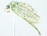  ( - BIOUG95279-G10)  @11 [ ] CreativeCommons - Attribution (2022) CBG Photography Group Centre for Biodiversity Genomics