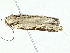 ( - BIOUG95279-H04)  @11 [ ] CreativeCommons - Attribution (2022) CBG Photography Group Centre for Biodiversity Genomics