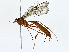  ( - BIOUG95321-B05)  @11 [ ] CreativeCommons - Attribution (2022) CBG Photography Group Centre for Biodiversity Genomics