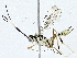  ( - BIOUG95322-C09)  @11 [ ] CreativeCommons - Attribution (2022) CBG Photography Group Centre for Biodiversity Genomics