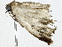 ( - BIOUG95322-H06)  @11 [ ] CreativeCommons - Attribution (2022) CBG Photography Group Centre for Biodiversity Genomics