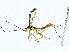  ( - BIOUG95323-A11)  @11 [ ] CreativeCommons - Attribution (2022) CBG Photography Group Centre for Biodiversity Genomics