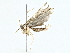  ( - BIOUG95323-F05)  @11 [ ] CreativeCommons - Attribution (2022) CBG Photography Group Centre for Biodiversity Genomics