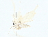  ( - BIOUG95323-F09)  @11 [ ] CreativeCommons - Attribution (2022) CBG Photography Group Centre for Biodiversity Genomics