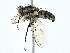  ( - BIOUG95324-D08)  @11 [ ] CreativeCommons - Attribution (2022) CBG Photography Group Centre for Biodiversity Genomics