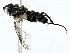  ( - BIOUG95324-E08)  @11 [ ] CreativeCommons - Attribution (2022) CBG Photography Group Centre for Biodiversity Genomics