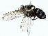  ( - BIOUG95324-E10)  @11 [ ] CreativeCommons - Attribution (2022) CBG Photography Group Centre for Biodiversity Genomics